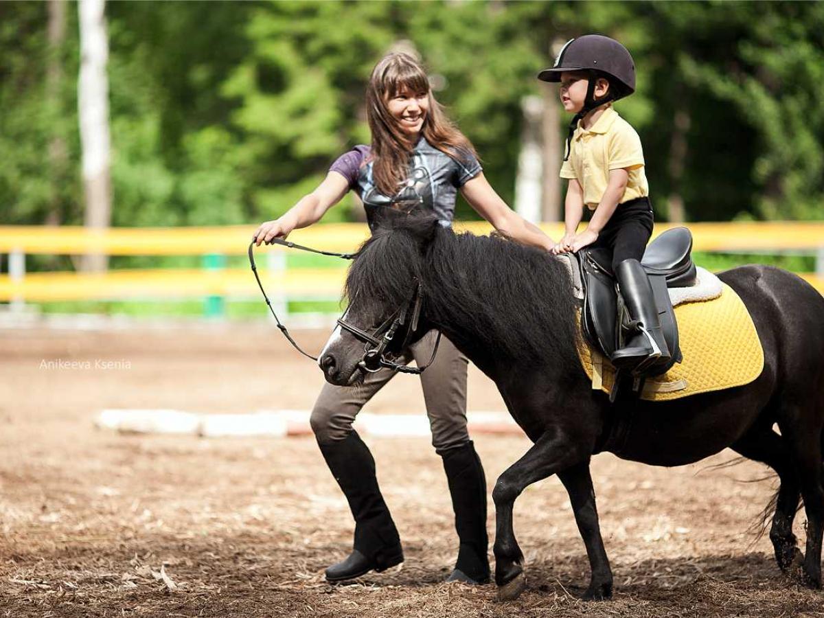 Учимся верховой езде. Занятия на лошадях. Катание на пони. Верховая езда для детей. Дети катаются на лошадях.